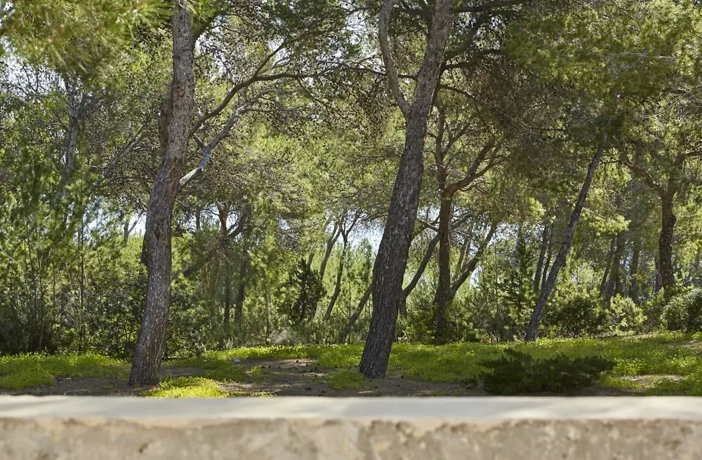 Villa Es Raig Ibiza Santa Eularia des Riu